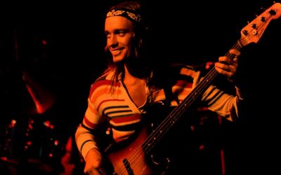 WordPress 5.2: all about the bass (fast inte riktigt)